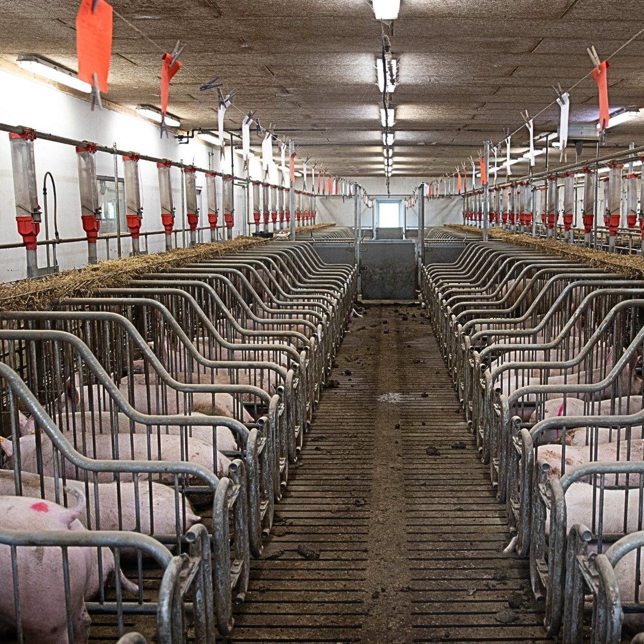 oposicions-inspector-inspeccion