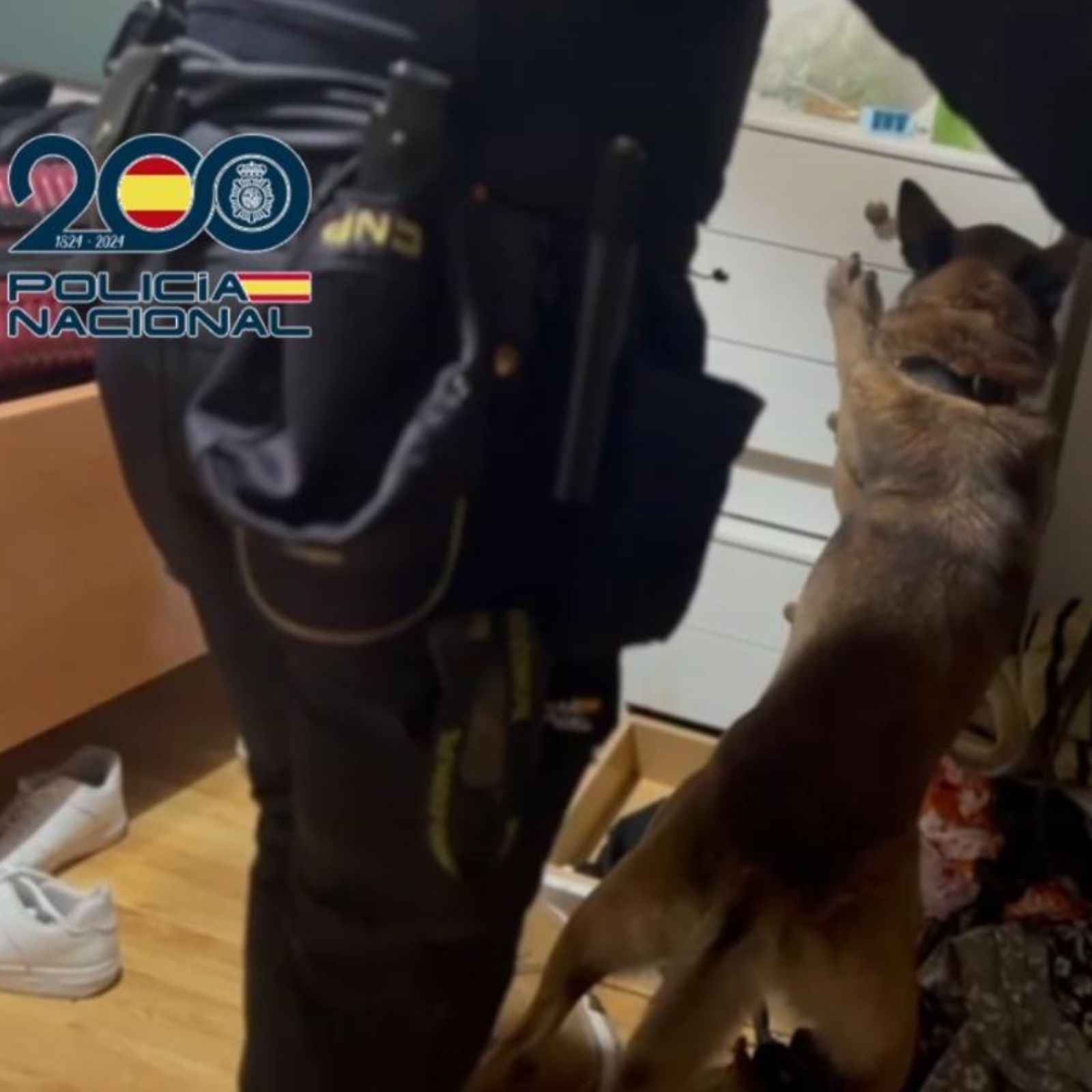 Operación explotación laboral Palencia